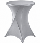 Silver 31